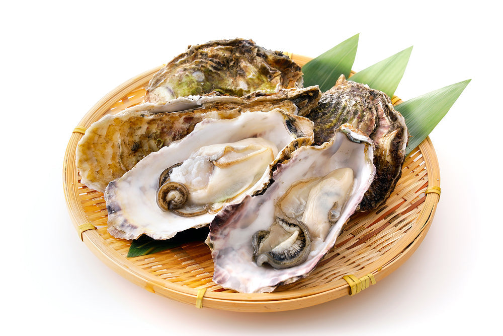 牡蠣の栄養がすごい！疲労回復から美肌まで効果的な食べ方とおすすめレシピ